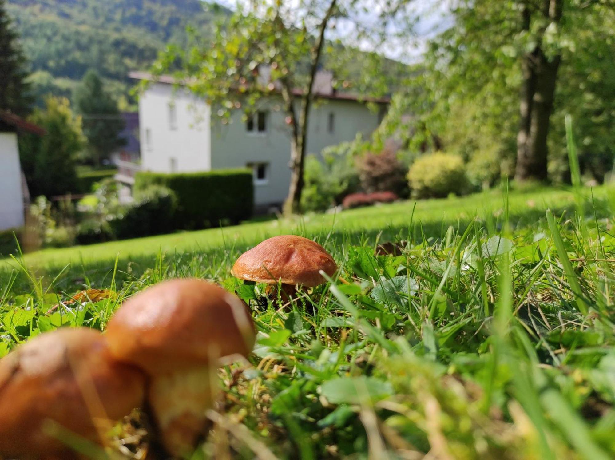 Apartamenty Kotarz Sauna&Relaks Brenna Dış mekan fotoğraf